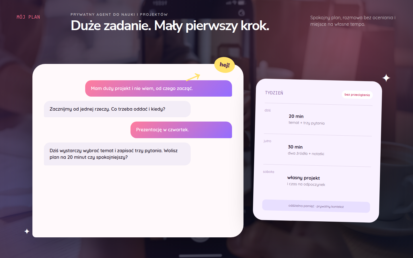 Interfejs prywatnego agenta wspierającego naukę i planowanie